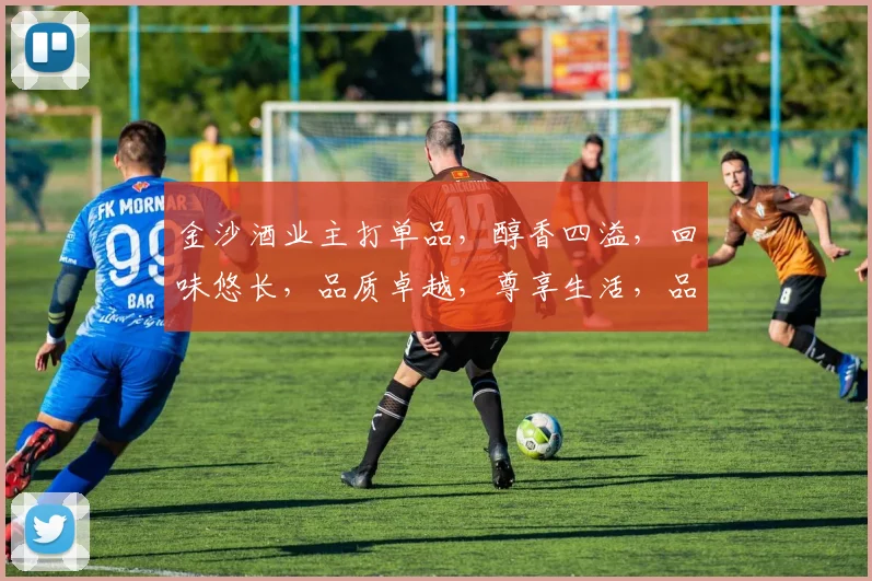 金沙酒业主打单品，醇香四溢，回味悠长，品质卓越，尊享生活，品味非凡，三重惊喜，不容错过