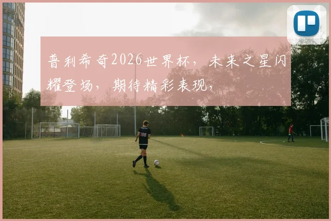 普利希奇2026世界杯，未来之星闪耀登场，期待精彩表现，
