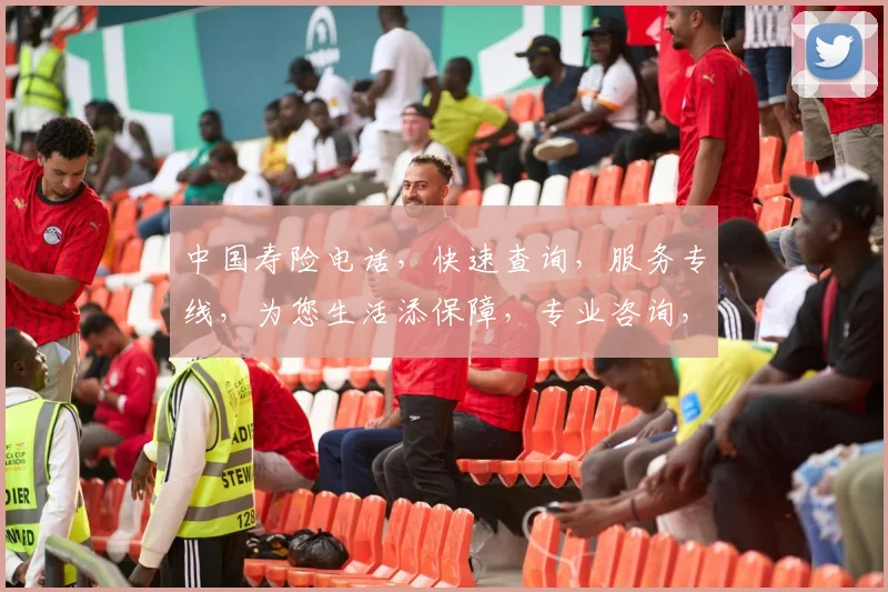 中国寿险电话，快速查询，服务专线，为您生活添保障，专业咨询，贴心服务，三个必看环节