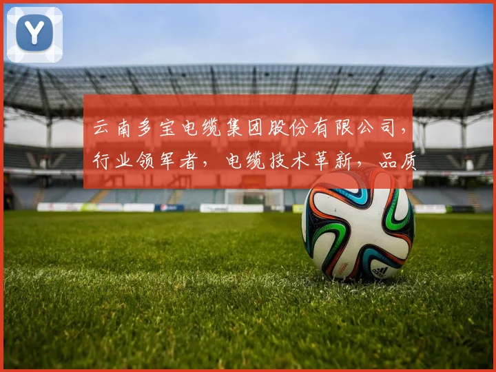 云南多宝电缆集团股份有限公司，行业领军者，电缆技术革新，品质卓越，服务至上，共赢未来，值得信赖