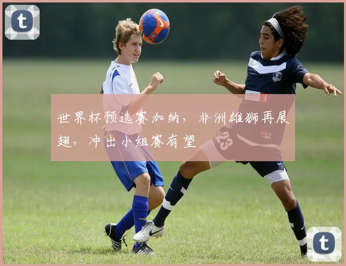 世界杯预选赛加纳，非洲雄狮再展翅，冲出小组赛有望
